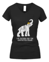 Women's V-Neck T-Shirt Women's V-Neck T-Shirt