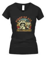 Women's V-Neck T-Shirt Women's V-Neck T-Shirt