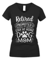 Women's V-Neck T-Shirt Women's V-Neck T-Shirt