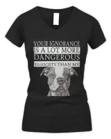 Women's V-Neck T-Shirt