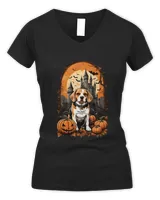 Women's V-Neck T-Shirt Women's V-Neck T-Shirt