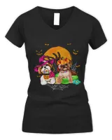 Women's V-Neck T-Shirt Women's V-Neck T-Shirt