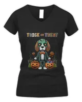 Women's V-Neck T-Shirt Women's V-Neck T-Shirt