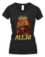 Women's V-Neck T-Shirt Women's V-Neck T-Shirt