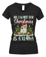 Women&#39;s V-Neck T-Shirt