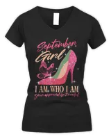Women's V-Neck T-Shirt Women's V-Neck T-Shirt