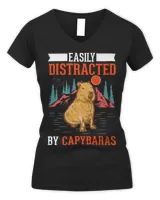 Women's V-Neck T-Shirt Women's V-Neck T-Shirt
