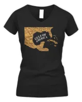 Women's V-Neck T-Shirt Women's V-Neck T-Shirt