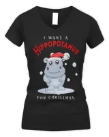 Women's V-Neck T-Shirt