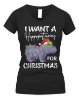 Women's V-Neck T-Shirt