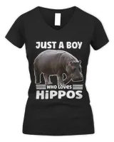 Women's V-Neck T-Shirt Women's V-Neck T-Shirt