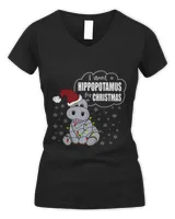 Women's V-Neck T-Shirt Women's V-Neck T-Shirt