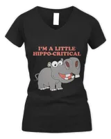 Women's V-Neck T-Shirt Women's V-Neck T-Shirt