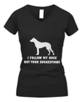 Women's V-Neck T-Shirt Women's V-Neck T-Shirt