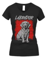 Women's V-Neck T-Shirt Women's V-Neck T-Shirt