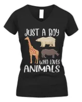Women's V-Neck T-Shirt Women's V-Neck T-Shirt