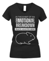 Women's V-Neck T-Shirt Women's V-Neck T-Shirt