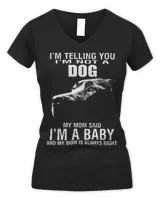 Women's V-Neck T-Shirt Women's V-Neck T-Shirt