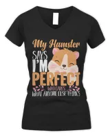 Women's V-Neck T-Shirt Women's V-Neck T-Shirt