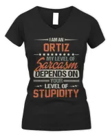 Women's V-Neck T-Shirt Women's V-Neck T-Shirt