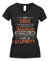 Women's V-Neck T-Shirt Women's V-Neck T-Shirt