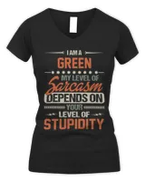 Women's V-Neck T-Shirt Women's V-Neck T-Shirt