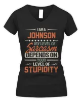 Women's V-Neck T-Shirt Women's V-Neck T-Shirt
