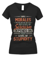 Women's V-Neck T-Shirt Women's V-Neck T-Shirt