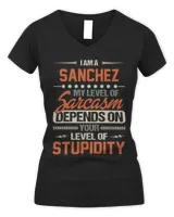 Women's V-Neck T-Shirt Women's V-Neck T-Shirt