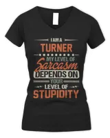 Women's V-Neck T-Shirt Women's V-Neck T-Shirt