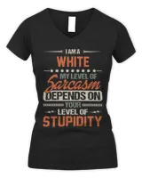 Women's V-Neck T-Shirt Women's V-Neck T-Shirt