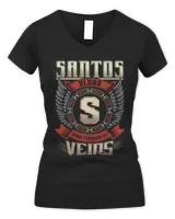 Women's V-Neck T-Shirt Women's V-Neck T-Shirt
