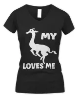 Women's V-Neck T-Shirt