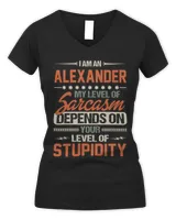 Women's V-Neck T-Shirt Women's V-Neck T-Shirt