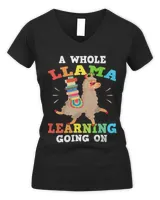 Women's V-Neck T-Shirt Women's V-Neck T-Shirt
