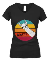 Women's V-Neck T-Shirt Women's V-Neck T-Shirt