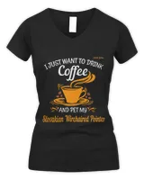 Women's V-Neck T-Shirt Women's V-Neck T-Shirt