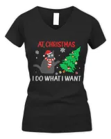 Women's V-Neck T-Shirt Women's V-Neck T-Shirt