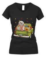 Women's V-Neck T-Shirt Women's V-Neck T-Shirt