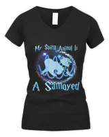 Women's V-Neck T-Shirt Women's V-Neck T-Shirt