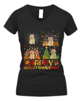 Women's V-Neck T-Shirt Women's V-Neck T-Shirt