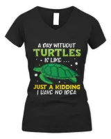 Women's V-Neck T-Shirt Women's V-Neck T-Shirt