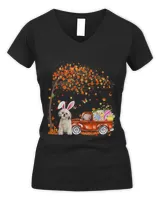 Women's V-Neck T-Shirt Women's V-Neck T-Shirt