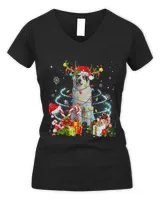 Women's V-Neck T-Shirt Women's V-Neck T-Shirt
