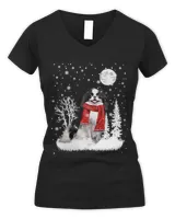 Women's V-Neck T-Shirt Women's V-Neck T-Shirt