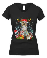 Women's V-Neck T-Shirt Women's V-Neck T-Shirt