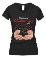 Women's V-Neck T-Shirt Women's V-Neck T-Shirt