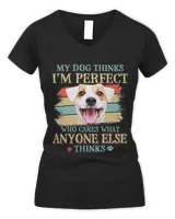 Women's V-Neck T-Shirt Women's V-Neck T-Shirt