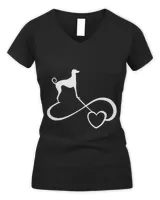 Women's V-Neck T-Shirt Women's V-Neck T-Shirt