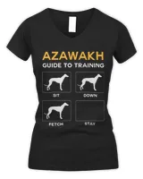 Women's V-Neck T-Shirt Women's V-Neck T-Shirt
